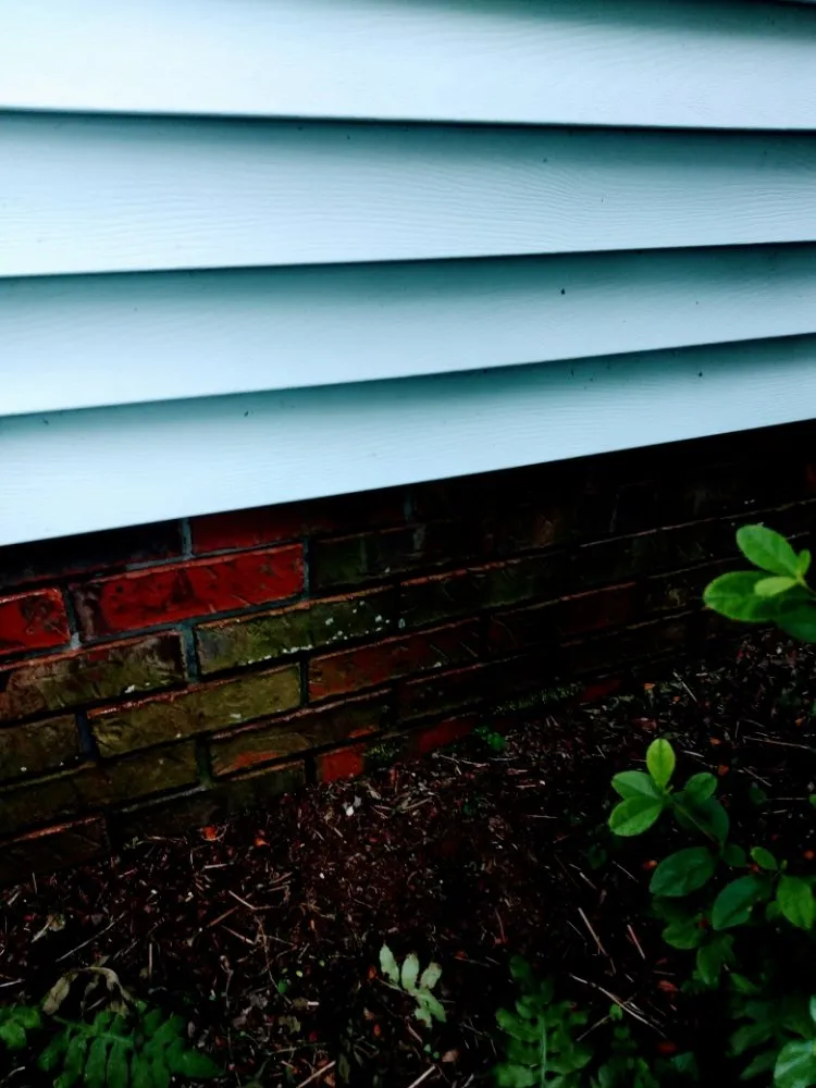 Affordable garden landscaping for homes in Addison, AL by Odoms Pressure Washing and Landscaping