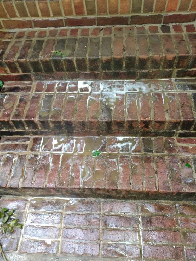 Top-rated residential landscaping in Addison, AL by Odoms Pressure Washing and Landscaping