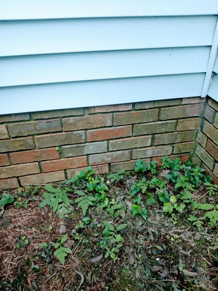 Affordable landscaping services for homes across Addison, AL - Odoms Pressure Washing and Landscaping