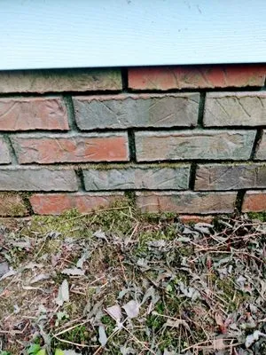 Odoms Pressure Washing and Landscaping