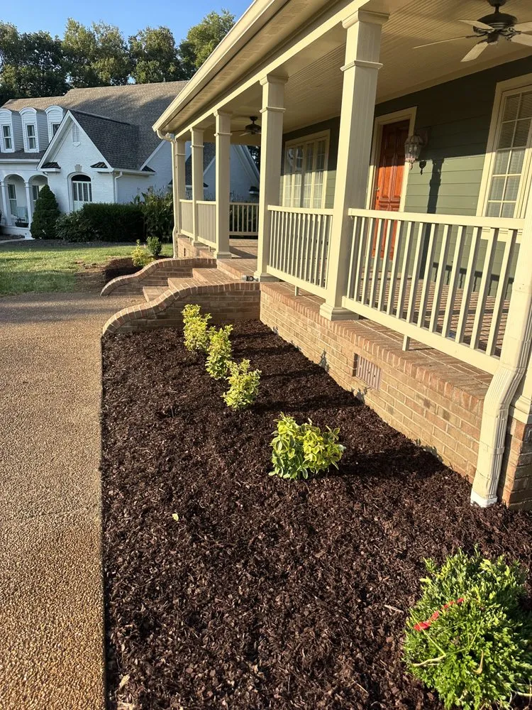 Top-rated landscape design for homes across Mount Pleasant, TN - Odom's Specialties