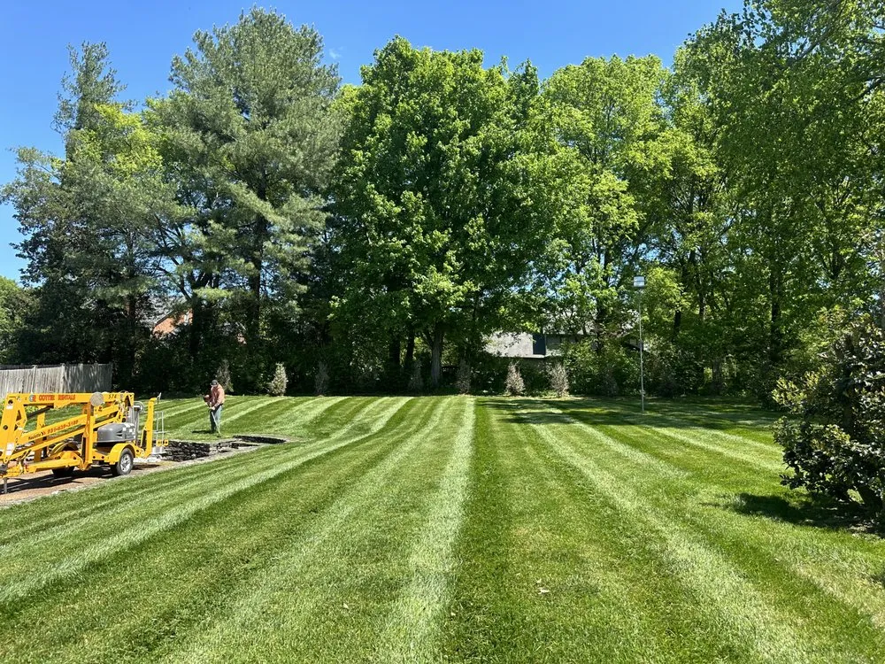 Trusted yard cleanup service in Mount Pleasant, TN by Odom's Specialties