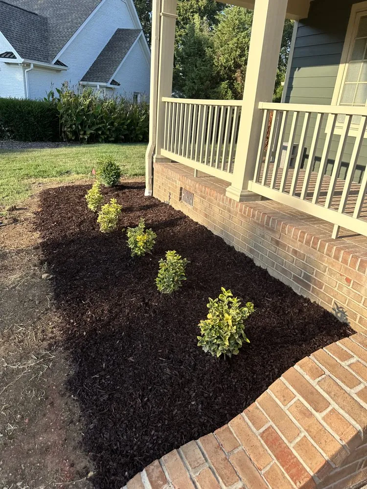 Top-rated landscaping services for outdoor upgrades across Mount Pleasant, TN - Odom's Specialties