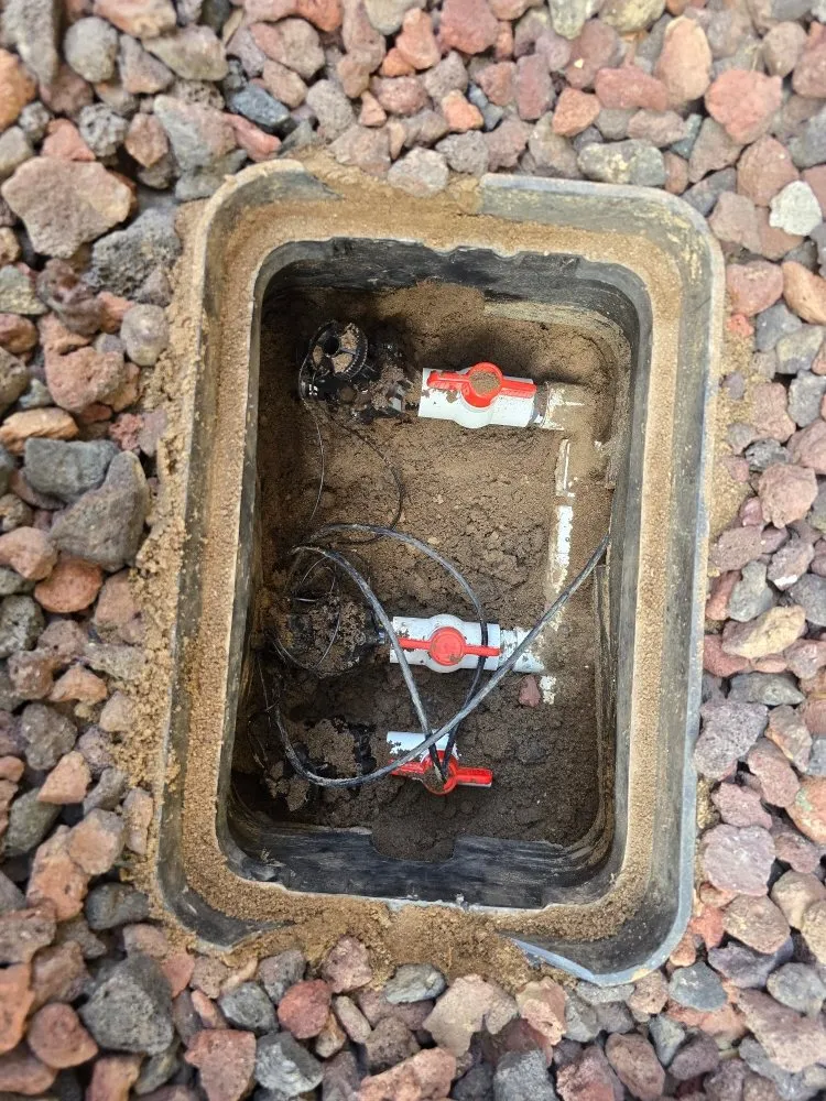 Expert lawn care service in Colorado Springs, CO - O'Donnell Landscape and Maintenance