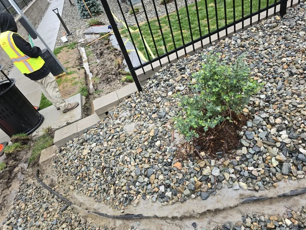 Custom yard maintenance in Colorado Springs, CO by O'Donnell Landscape and Maintenance