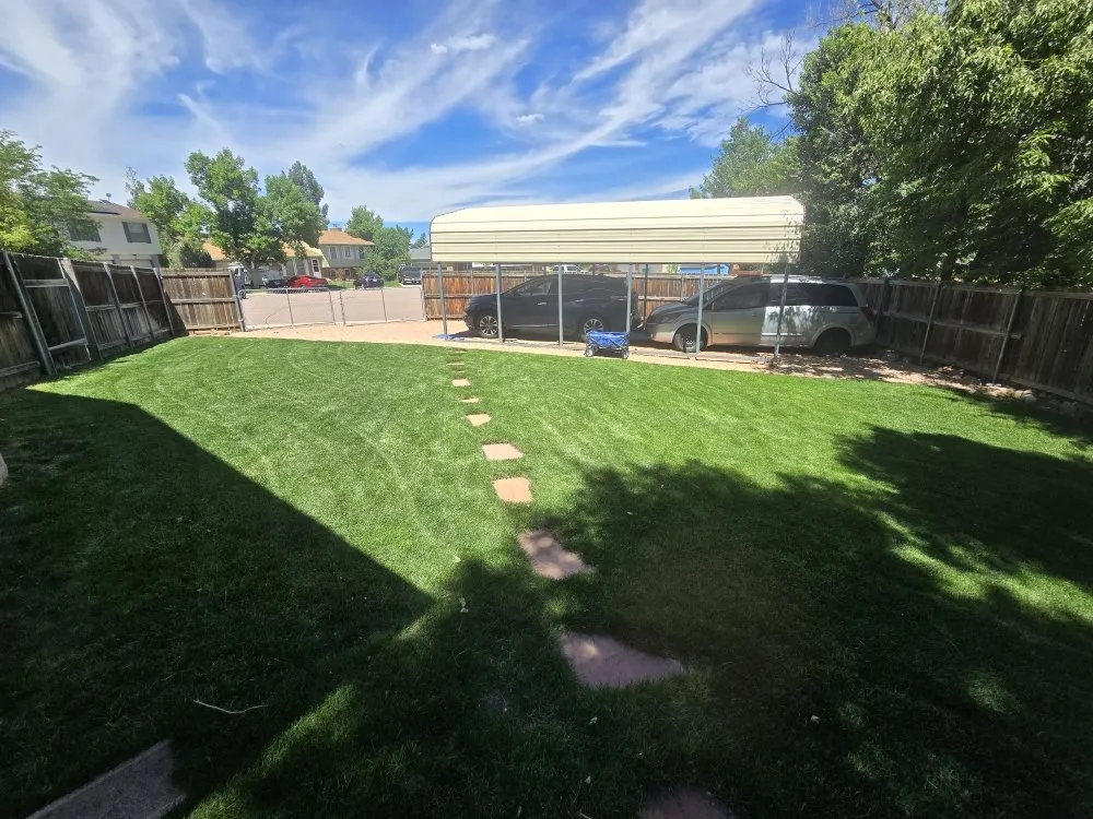 Top-rated landscape design for year-round maintenance in Colorado Springs, CO by O'Donnell Landscape and Maintenance