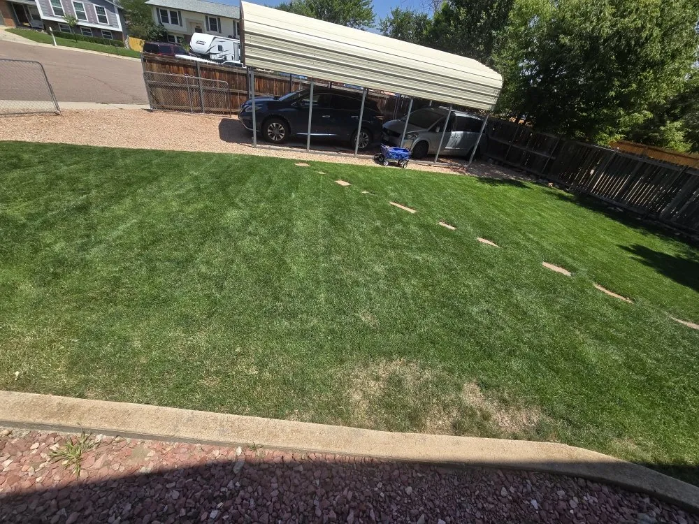 Affordable lawn care service for beautiful yards across Colorado Springs, CO - O'Donnell Landscape and Maintenance