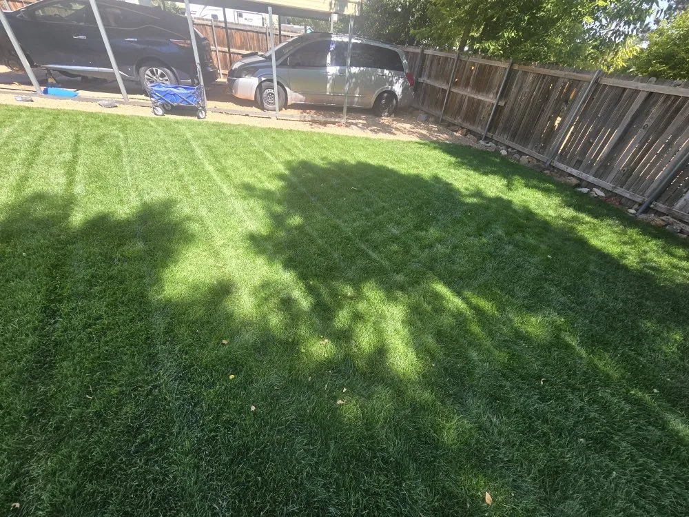 Top-rated outdoor landscaping for homes in Colorado Springs, CO by O'Donnell Landscape and Maintenance