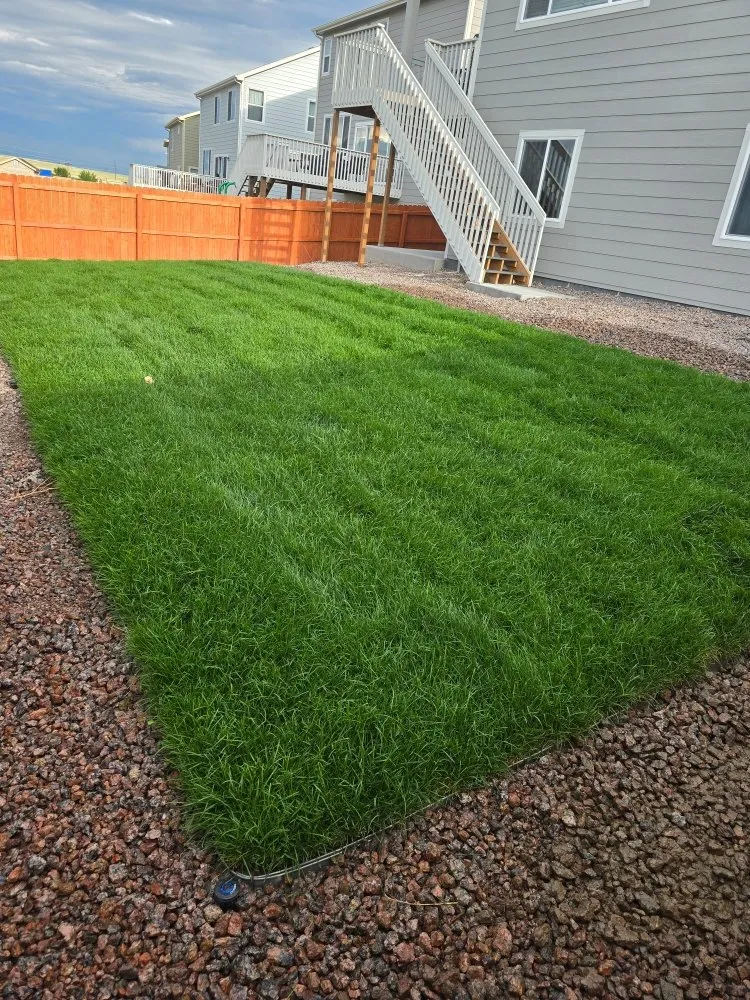 Affordable yard cleanup service in Colorado Springs, CO by O'Donnell Landscape and Maintenance