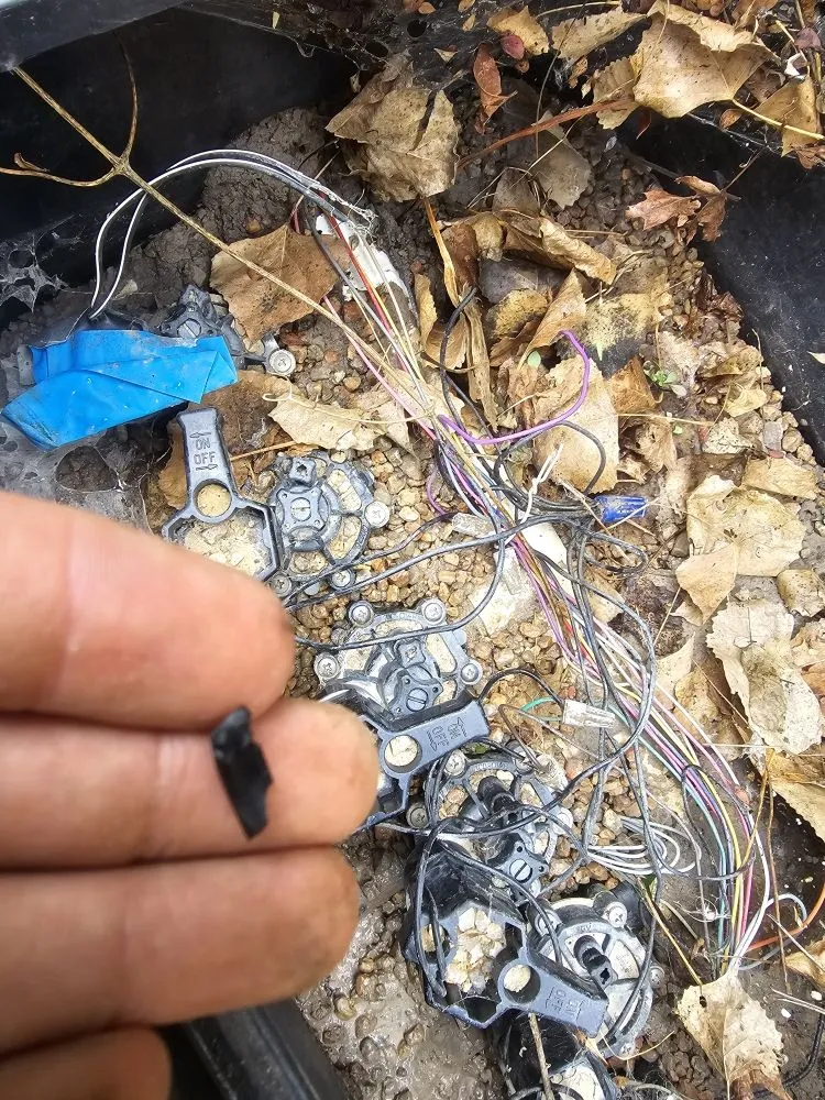 Custom garden landscaping for beautiful yards in Colorado Springs, CO by O'Donnell Landscape and Maintenance