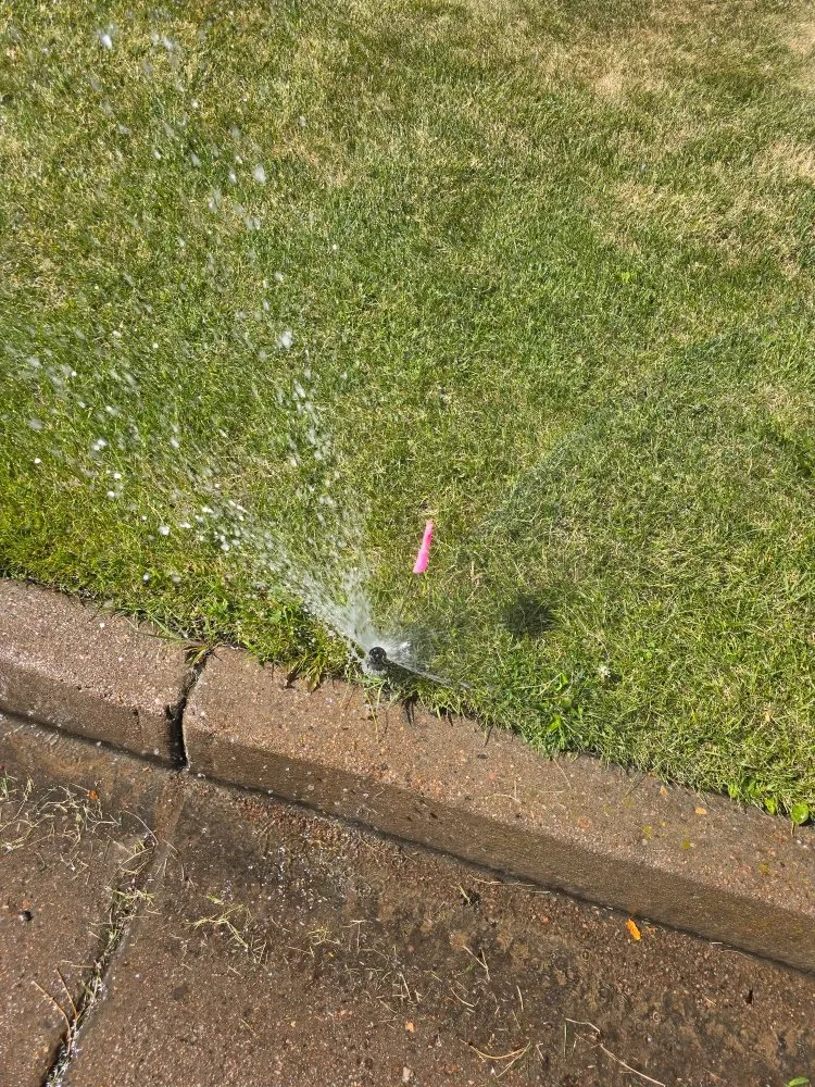 Trusted residential landscaping experts serving Colorado Springs, CO - O'Donnell Landscape and Maintenance