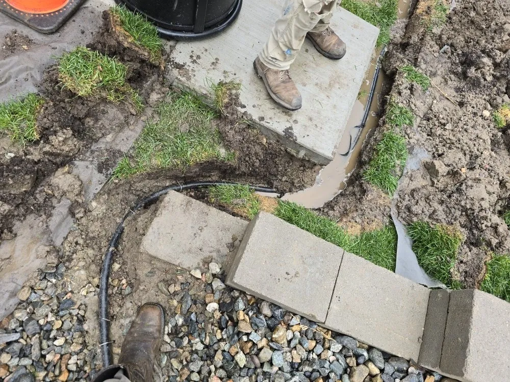 Top-rated lawn care service in Colorado Springs, CO by O'Donnell Landscape and Maintenance