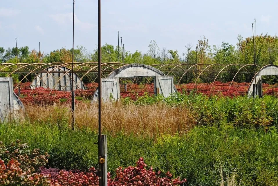 Local garden landscaping near you in Plainfield, IL by O'Donovan & Son Landscaping & Nursery