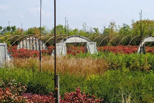 O'Donovan & Son Landscaping & Nursery Logo