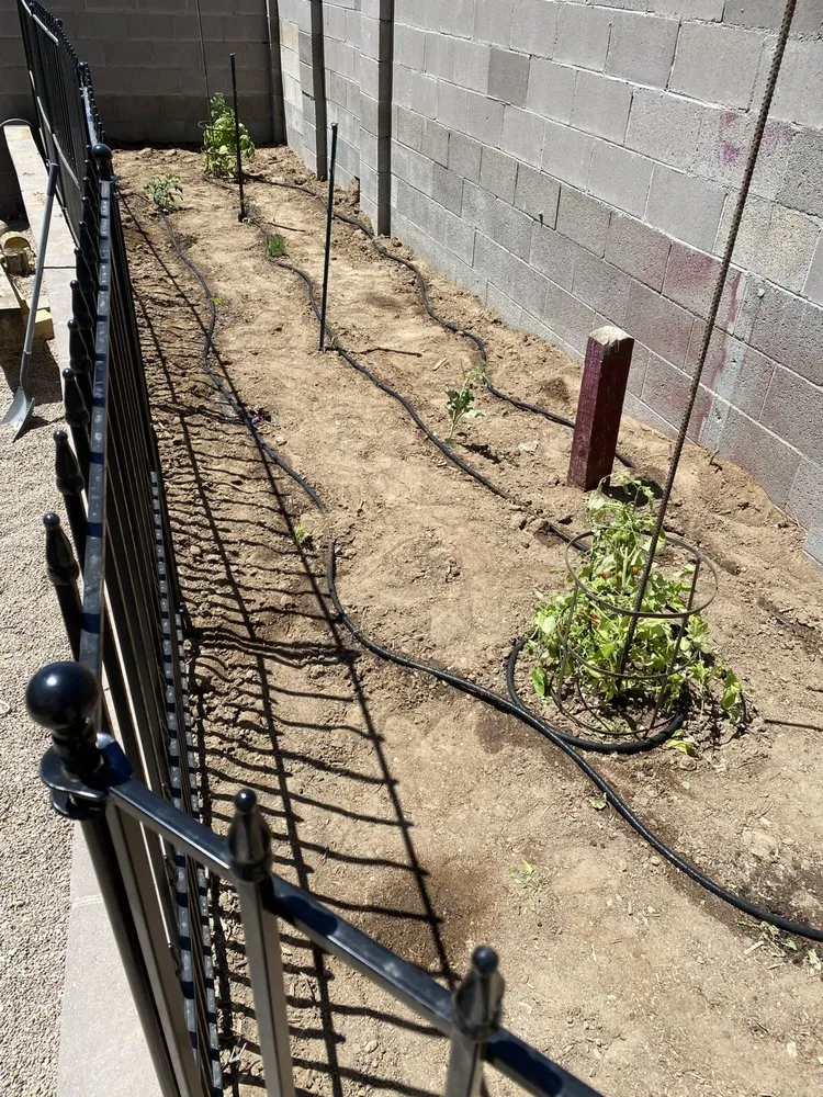 Expert outdoor landscaping in Albuquerque, NM by O'Donovan’s Lawn Care