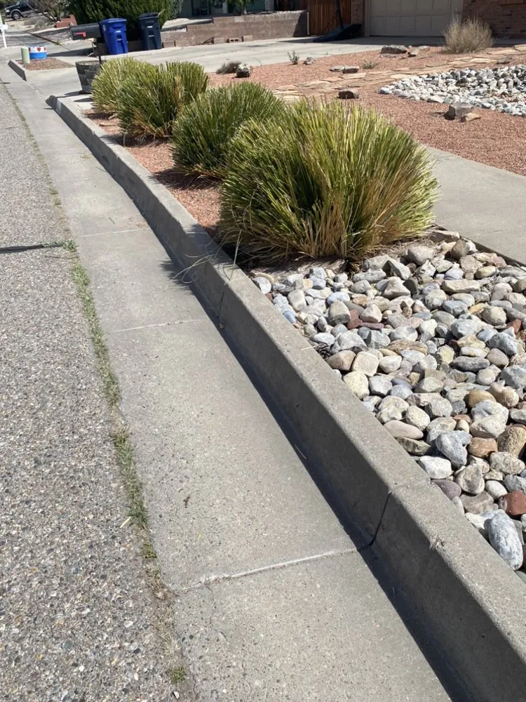 Expert yard cleanup service experts serving Albuquerque, NM - O'Donovan’s Lawn Care