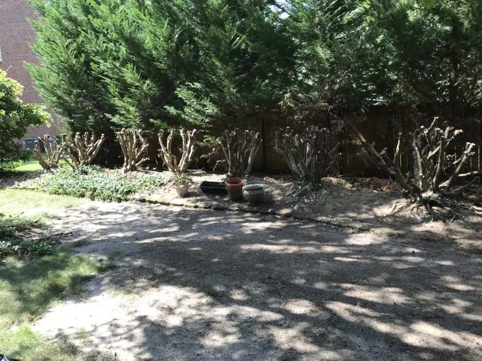 Top-rated outdoor landscaping in Spartanburg, SC by OD's Landscaping