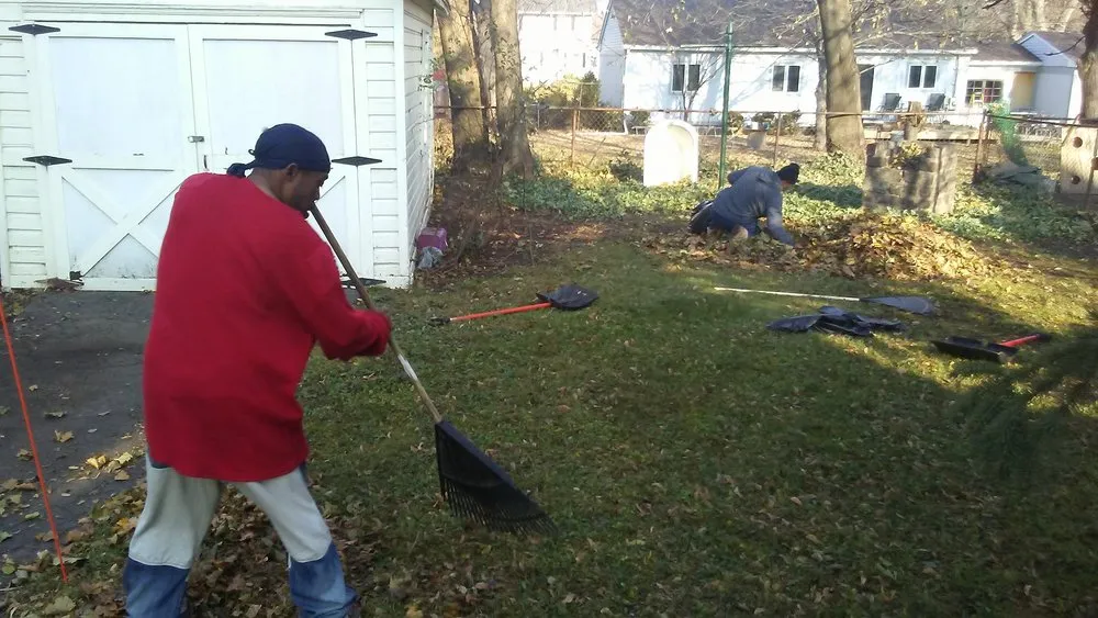 Professional yard cleanup service for year-round maintenance across Panorama, NY - Odum Lawn Care and Property Management