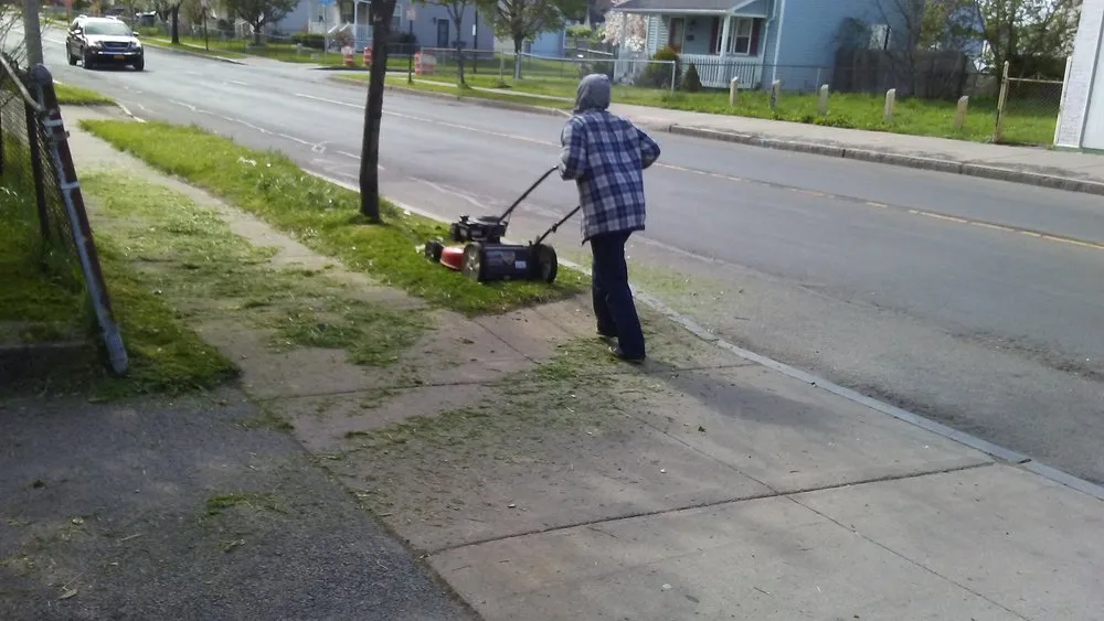 Affordable residential landscaping in Panorama, NY by Odum Lawn Care and Property Management