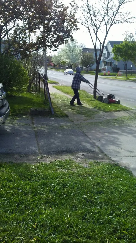 Trusted yard cleanup service experts serving Panorama, NY - Odum Lawn Care and Property Management