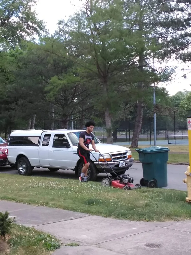 Top-rated yard cleanup service in Panorama, NY by Odum Lawn Care and Property Management