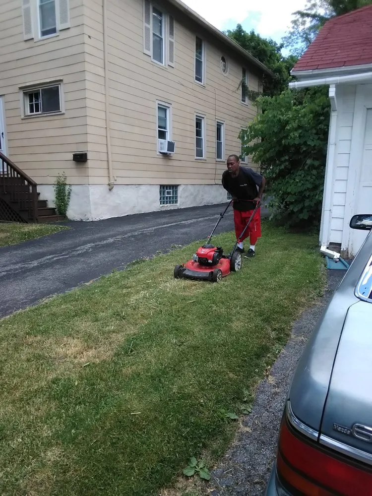 Top-rated residential landscaping in Panorama, NY by Odum Lawn Care and Property Management
