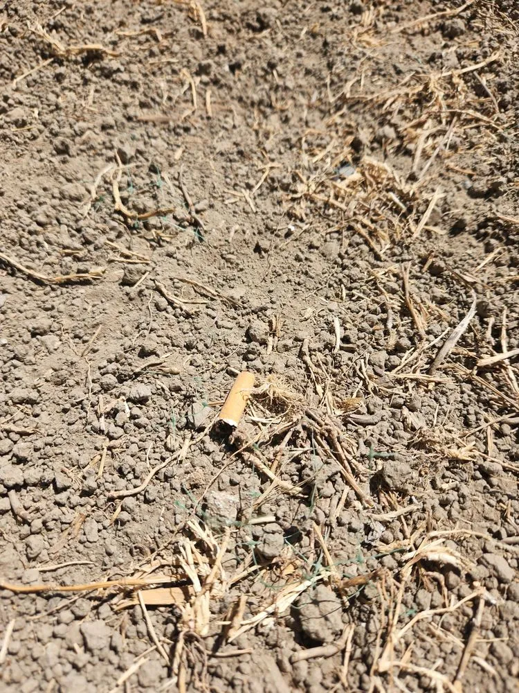 Custom outdoor landscaping experts serving Stockton, CA - Ody Corp Landscaping