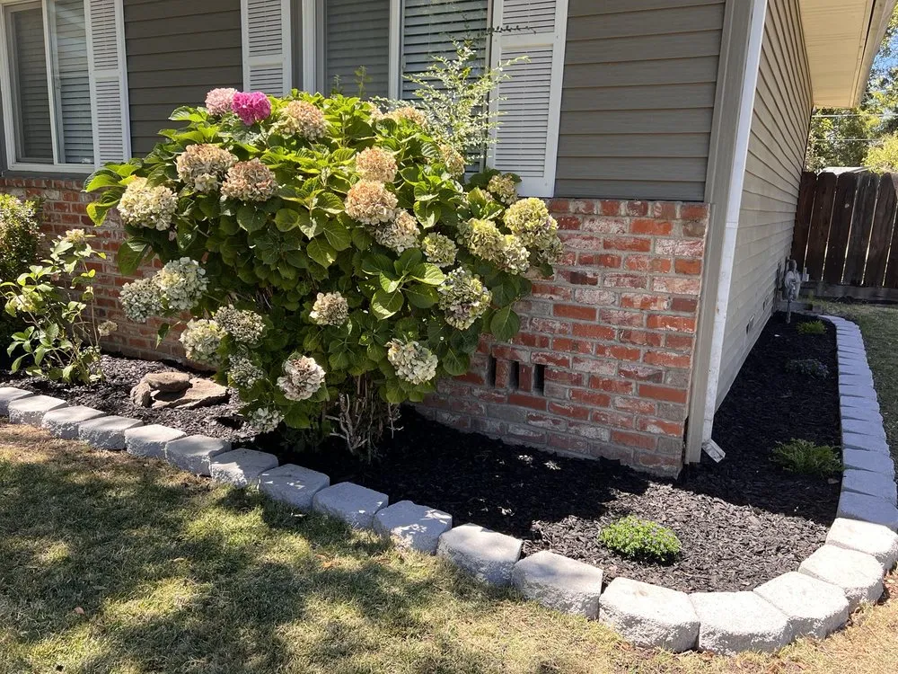 Custom yard maintenance in Stockton, CA - Ody Corp Landscaping