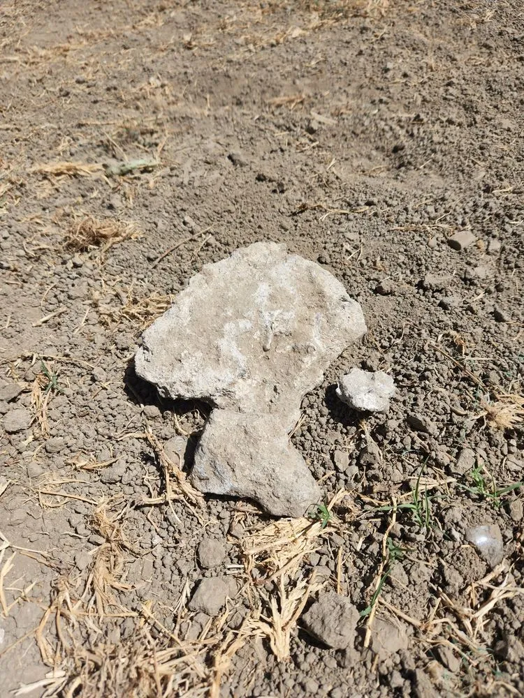 Local landscaping services experts serving Stockton, CA - Ody Corp Landscaping