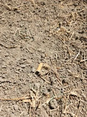 Ody Corp Landscaping Logo