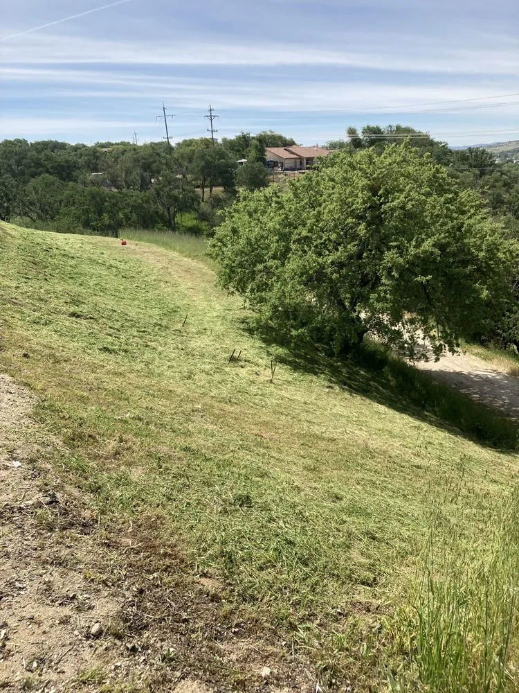 Reliable lawn care service for outdoor upgrades in Paso Robles, CA by Ody's Landscaping