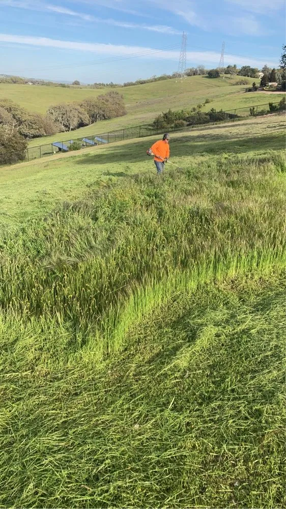 Reliable yard cleanup service in Paso Robles, CA - Ody's Landscaping