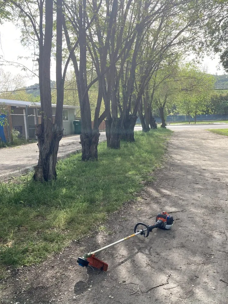 Reliable residential landscaping in Paso Robles, CA by Ody's Landscaping