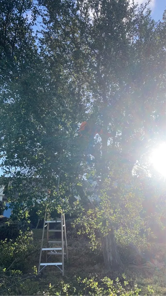 Trusted landscape installation experts serving Paso Robles, CA - Ody's Landscaping