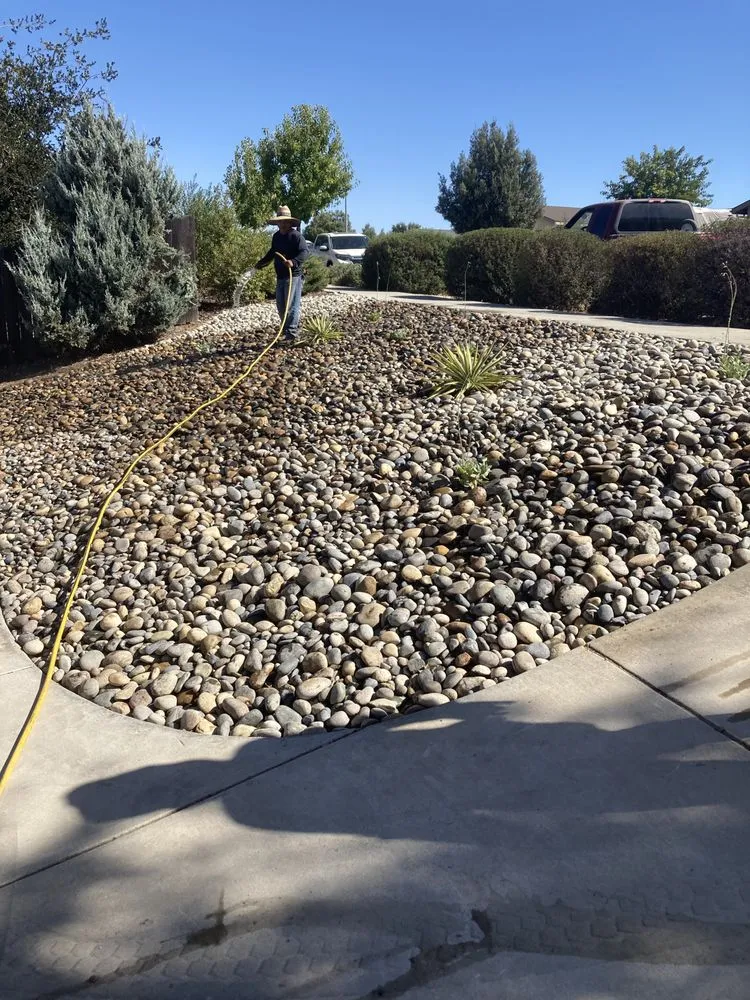 Reliable yard cleanup service experts serving Paso Robles, CA - Ody's Landscaping