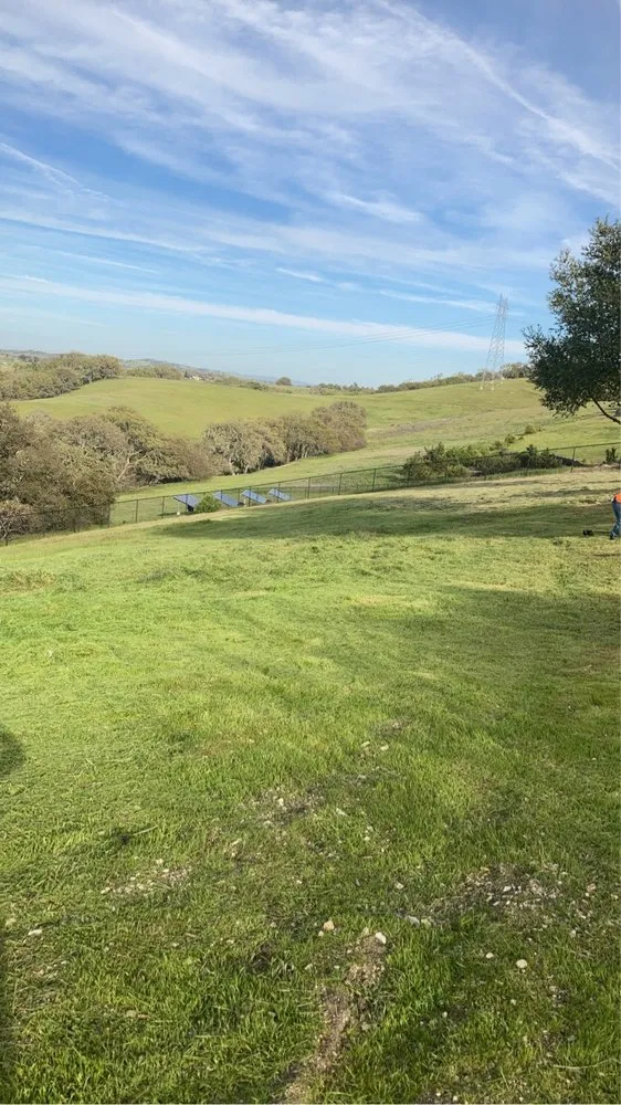 Expert yard cleanup service in Paso Robles, CA by Ody's Landscaping