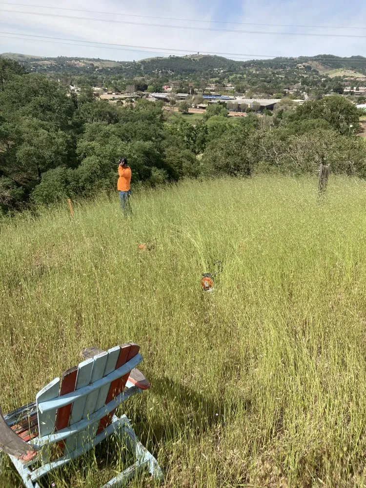 Affordable lawn mowing service in Paso Robles, CA by Ody's Landscaping