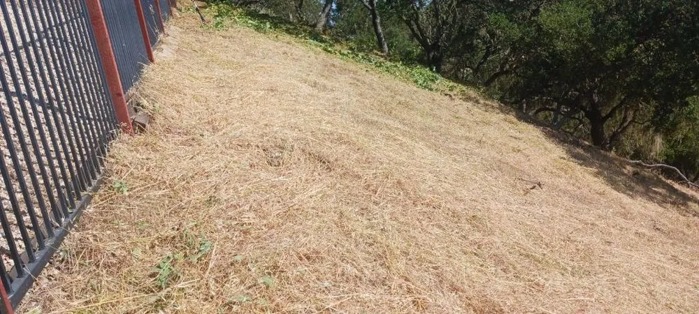 Top-rated yard maintenance in Paso Robles, CA - Ody's Landscaping