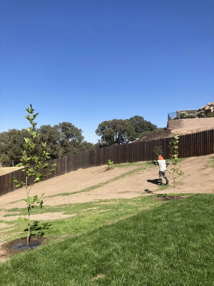 Trusted yard maintenance in Paso Robles, CA by Ody's Landscaping
