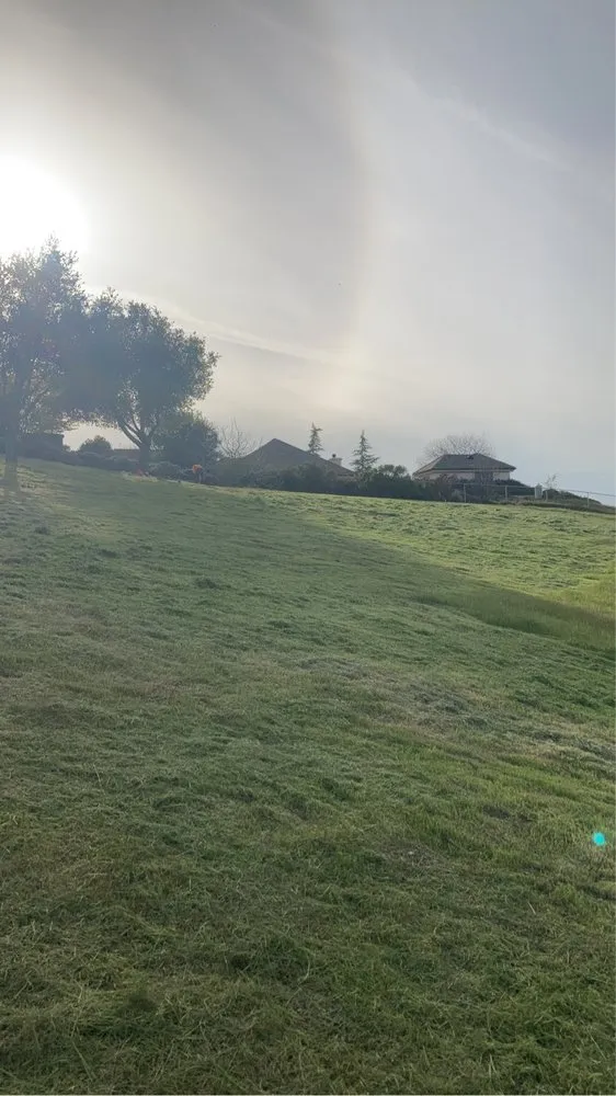 Reliable lawn care service in Paso Robles, CA by Ody's Landscaping