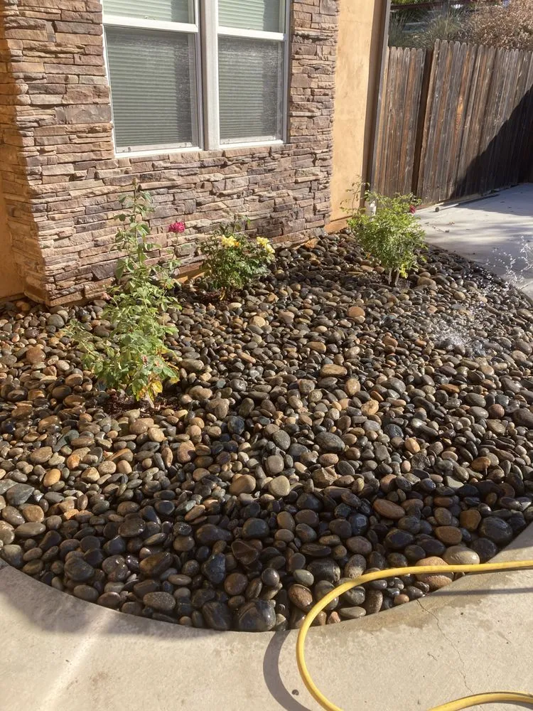 Reliable yard cleanup service for year-round maintenance in Paso Robles, CA by Ody's Landscaping