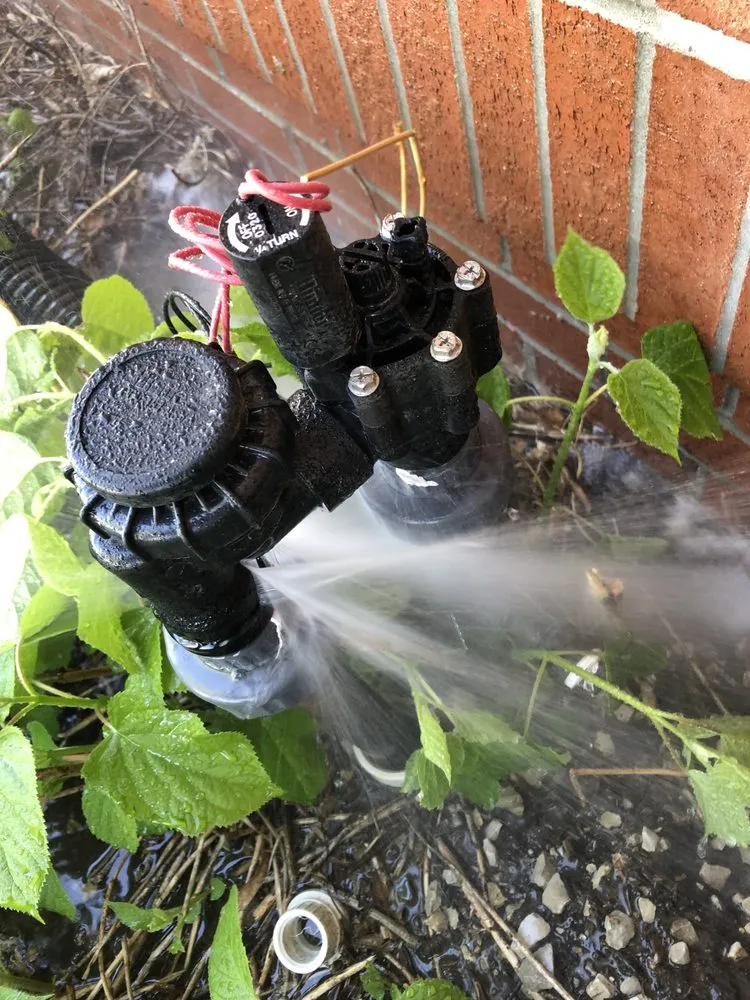 Trusted outdoor landscaping experts serving South Milwaukee, WI - Odyssey Lawn