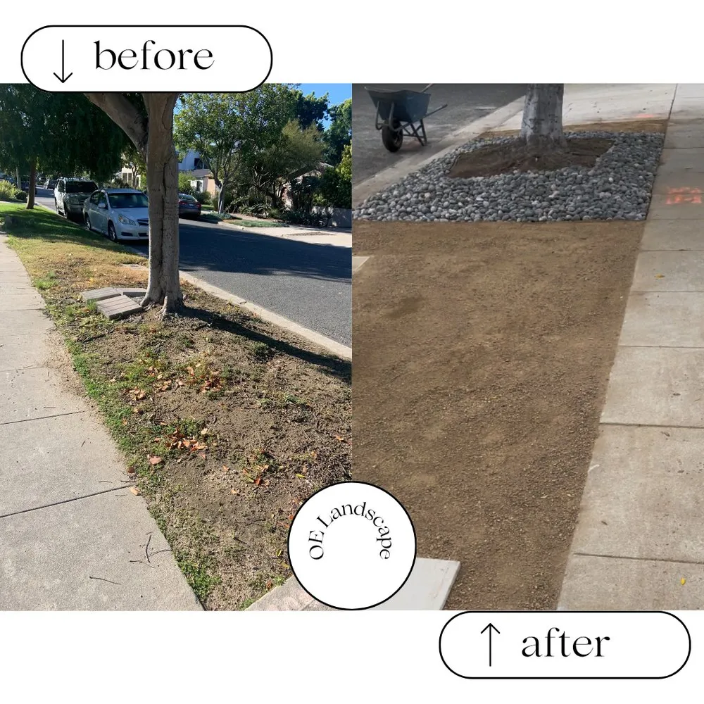 Affordable lawn mowing service for year-round maintenance across Glendora, CA - OE Landscape