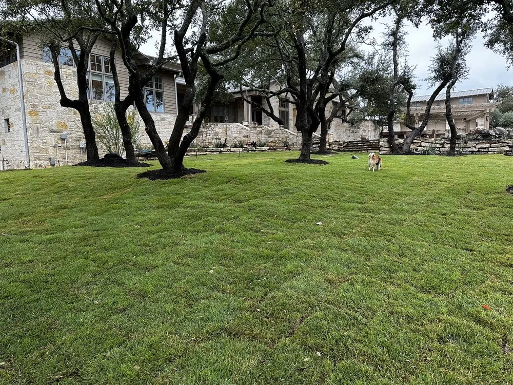 Expert landscape installation for year-round maintenance across Glendora, CA - OE Landscape