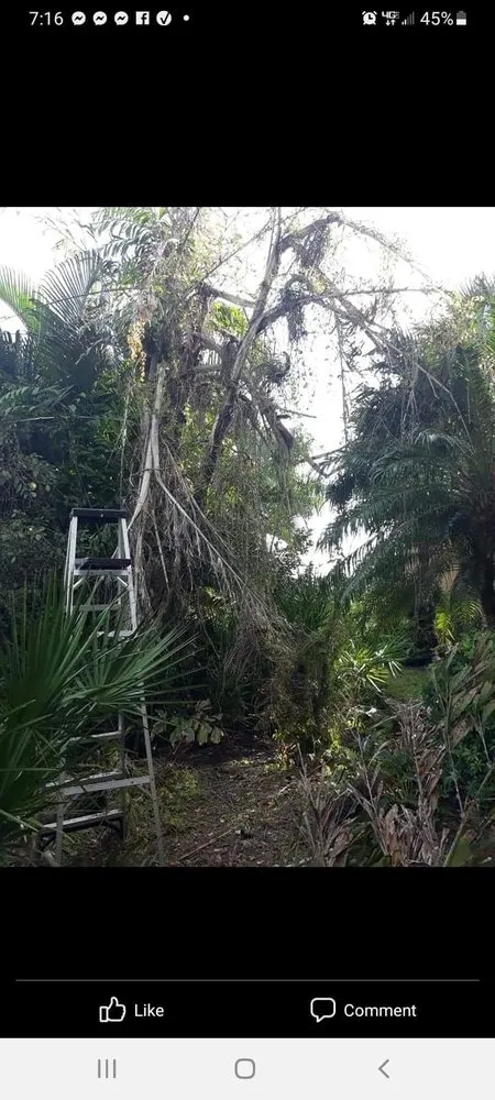 Expert yard maintenance for beautiful yards across Cape Coral, FL - OEF Veterans Landscaping