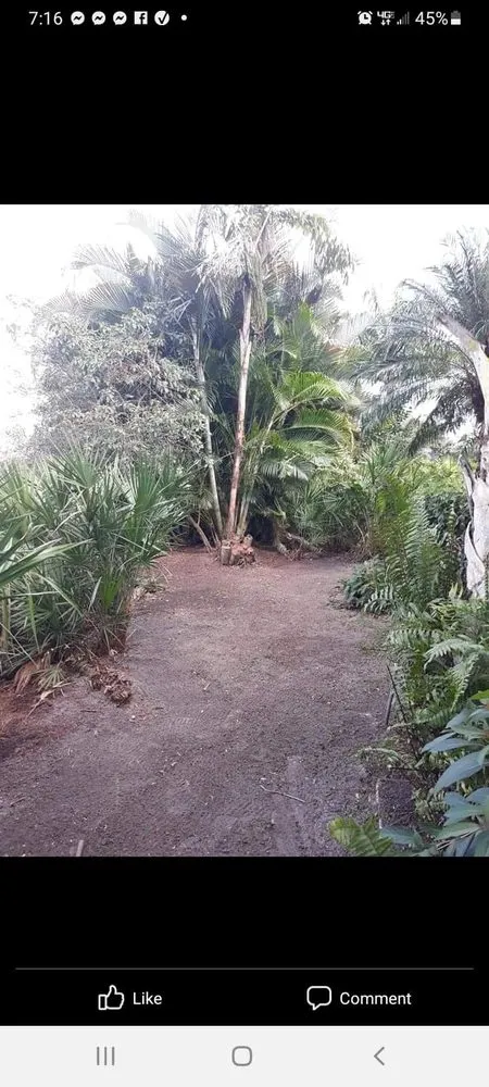 Top-rated garden landscaping for residential properties in Cape Coral, FL by OEF Veterans Landscaping