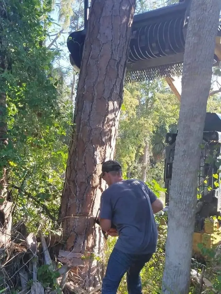 Affordable landscaping services in Cape Coral, FL - OEF Veterans Landscaping