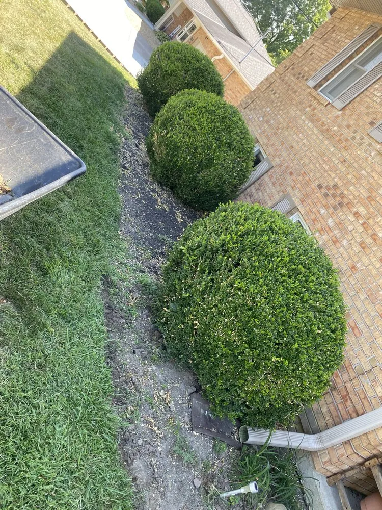 Affordable lawn mowing service in Fairfield, OH by Oehler’s lawn and landscape solutions