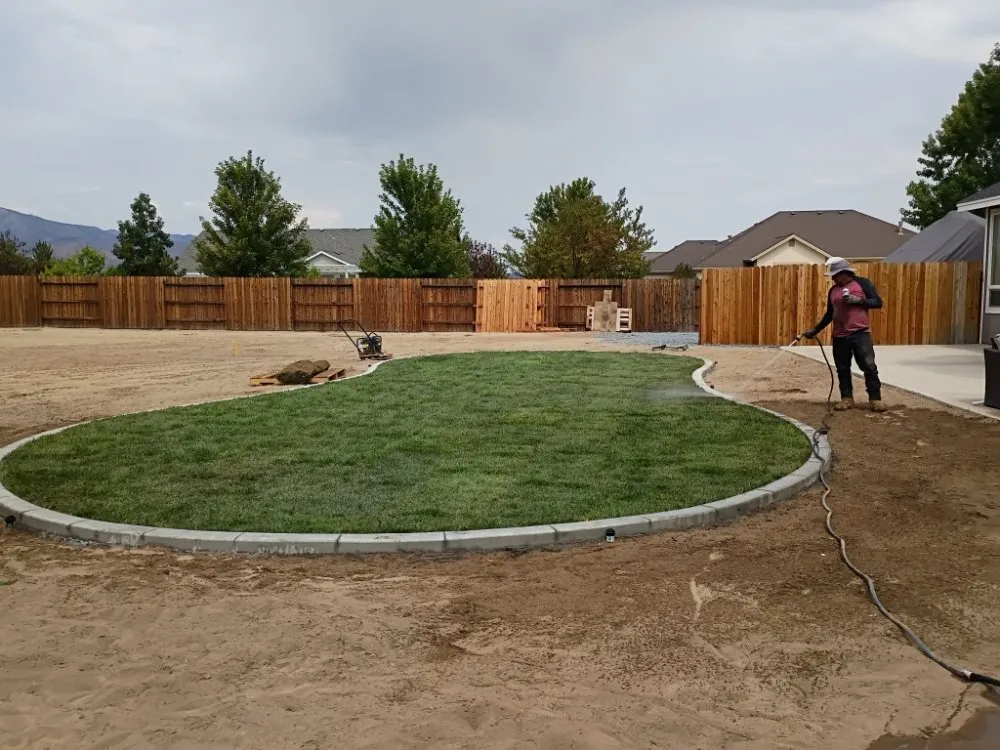 Top-rated yard maintenance experts serving Carson City, NV - OEL Landscape