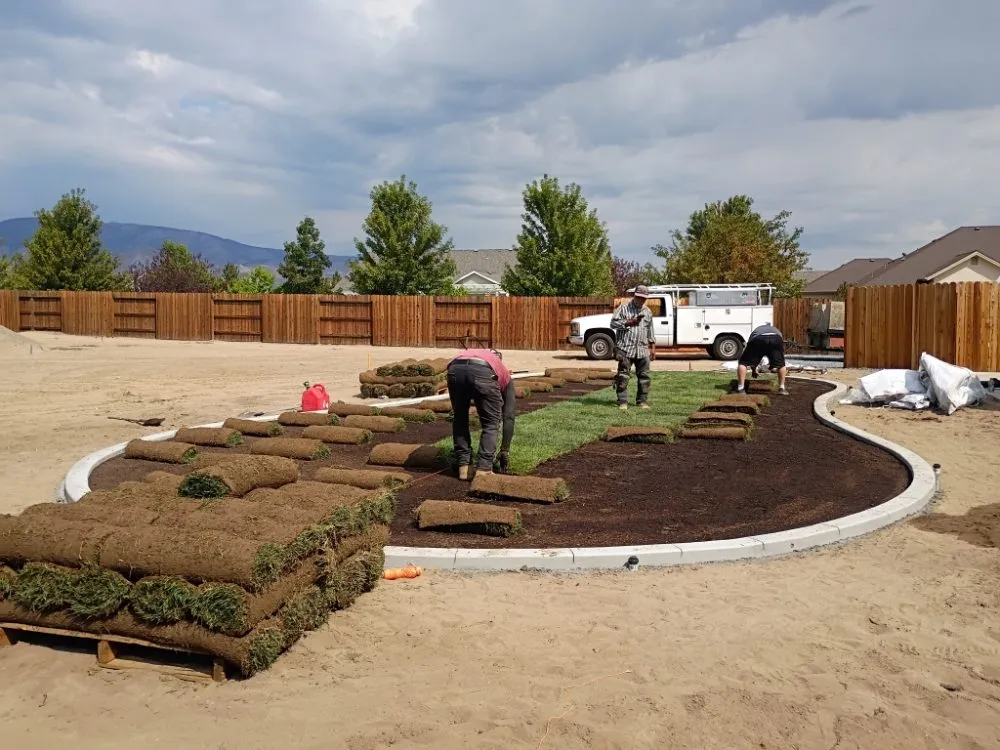 Local yard cleanup service experts serving Carson City, NV - OEL Landscape